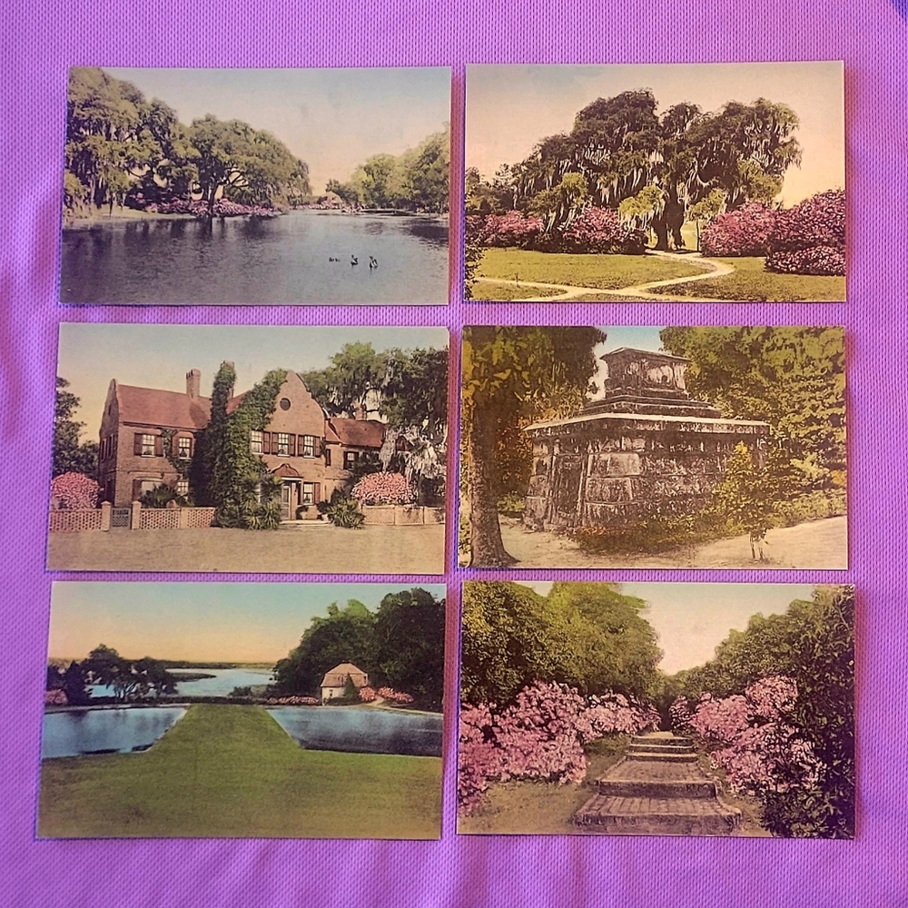Vintage Scenic Postcards Set: MIDDLETON GARDENS, CHARLESTON SC SOUTH CAROLINA